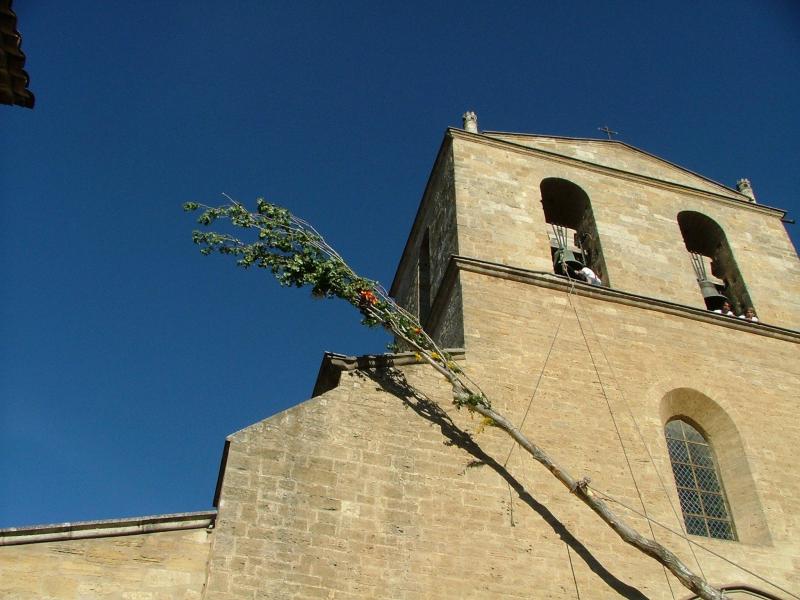 Fte de la Piboule  Cucuron (84) - L'arbre de Mai  - 2006 05 27 Cucuron 11.JPG